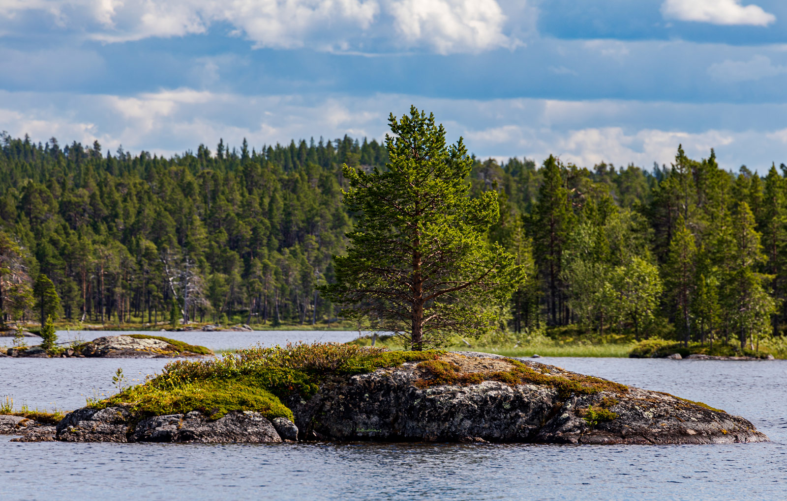 Inari (Photo license: CC BY 2.0)